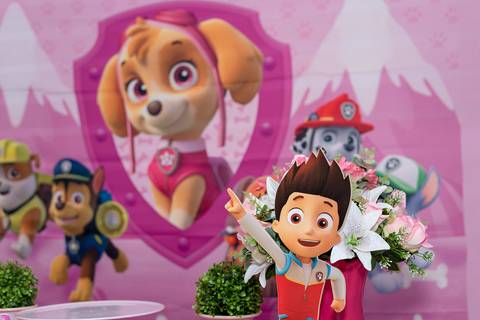 festa infantil 3 anos menina tema patrulha canina skye creche piu piu jardim encantado Parque residencial laranejeiras serra'