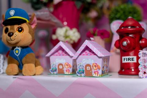 festa infantil 3 anos menina tema patrulha canina skye creche piu piu jardim encantado Parque residencial laranejeiras serra'