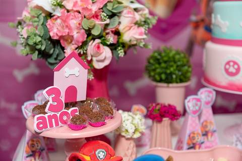 festa infantil 3 anos menina tema patrulha canina skye creche piu piu jardim encantado Parque residencial laranejeiras serra'