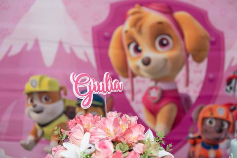 festa infantil 3 anos menina tema patrulha canina skye creche piu piu jardim encantado Parque residencial laranejeiras serra'