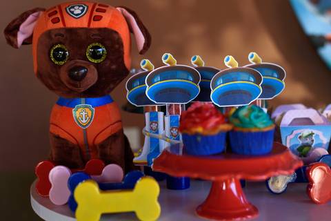 Festa da Patrulha Canina simples'