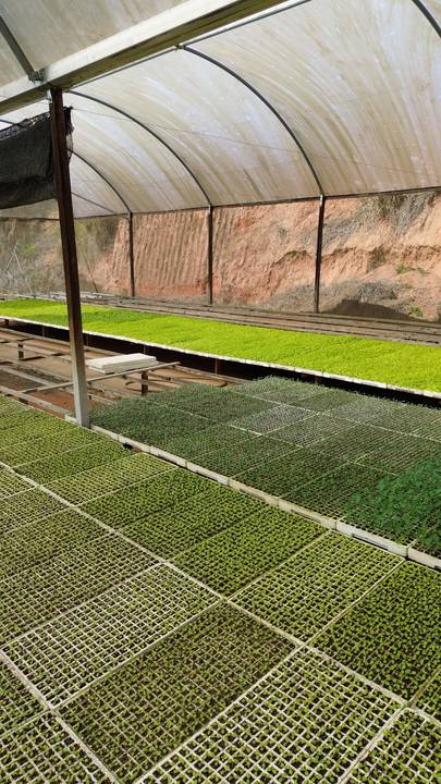 '