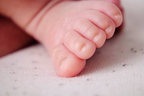 Ensaio Recem nascido Newborn, Estudio Mila Werneck, Barueri'