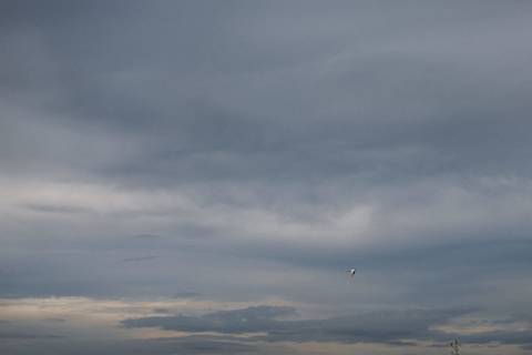 '