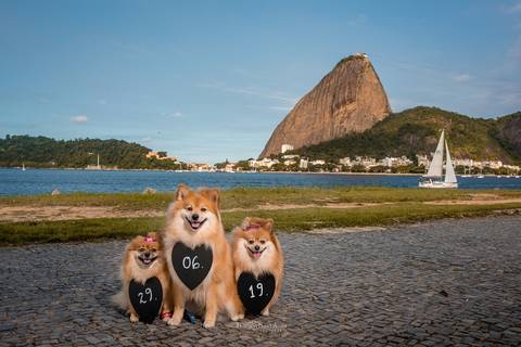 Ensaio de casal com a presença dos pets por Thiago Sant' Anna Fotografia no Rio de Janeiro'