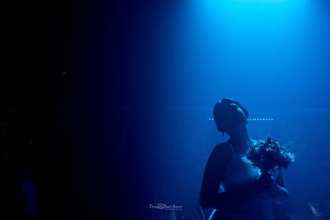 noiva buque luz azul silhueta'