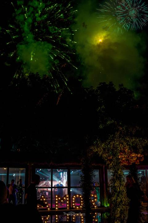 fogos céu noturno entre as árvores'