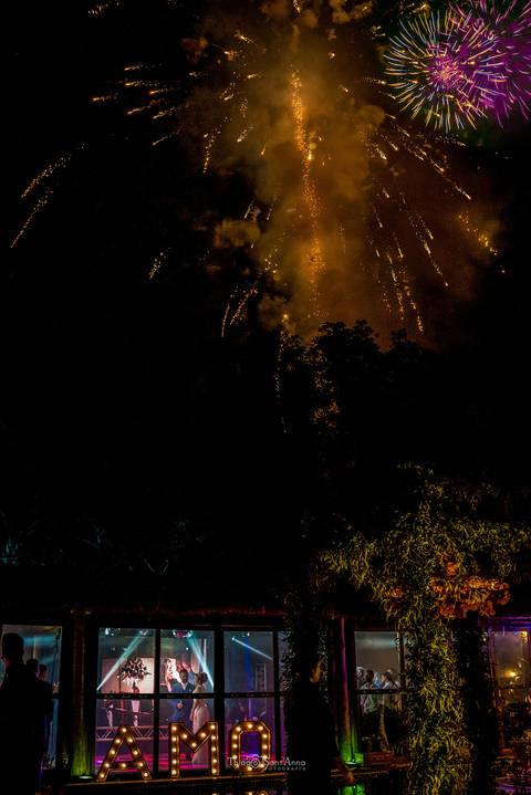 fogos céu noturno entre as árvores'