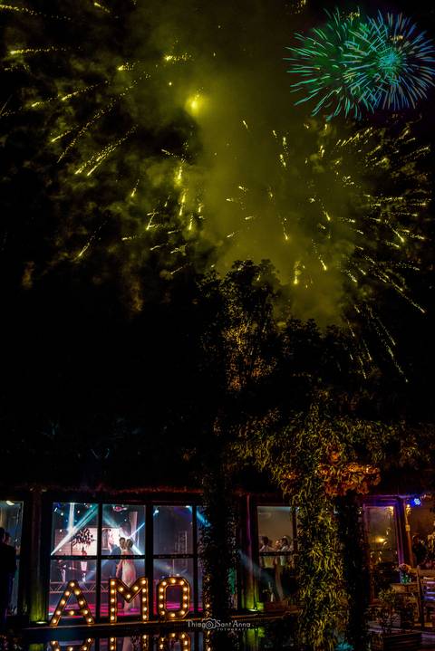 fogos céu noturno entre as árvores'