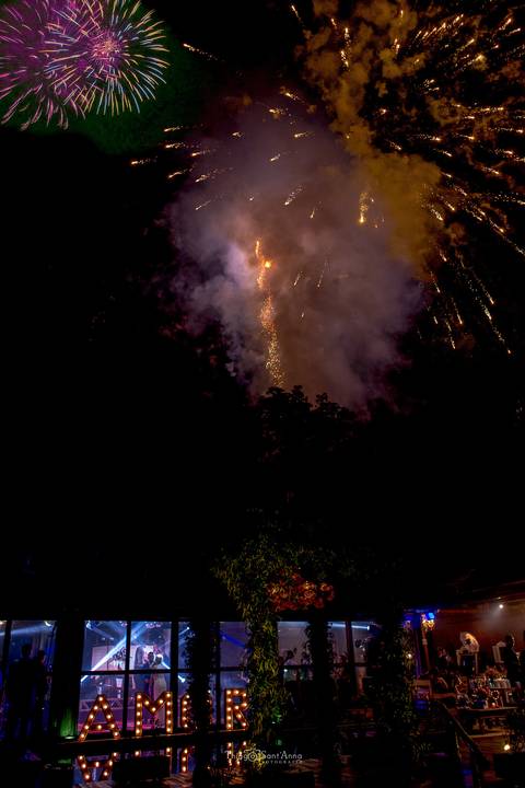 fogos céu noturno entre as árvores'