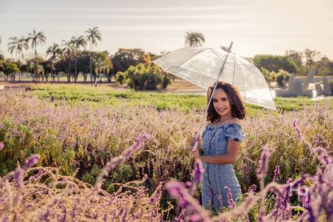 ensaio nas flores foto nas flores foto família foto de geração ensaio família foto nas flores  foto sorrindo ensaio 15 anos nas flores ensaio nas flores fotografia flores foto na lavanda foto guarda chuva ensaio com guarda chuva brasília'
