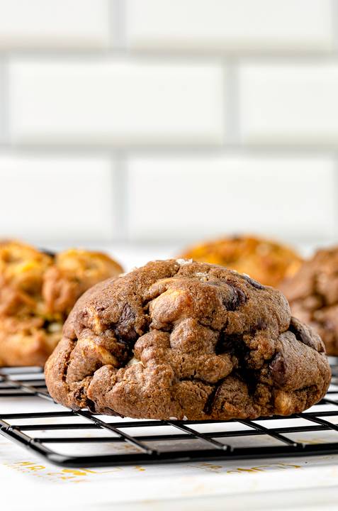 Foto protegida por direitos autorais, sua reprodução sem autorização é crime.'