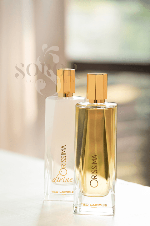 Imagens pertence à Top Internacional e ao Soror Studio. Sua reprodução não autorizada é crime e está sujeita às sanções legais.'