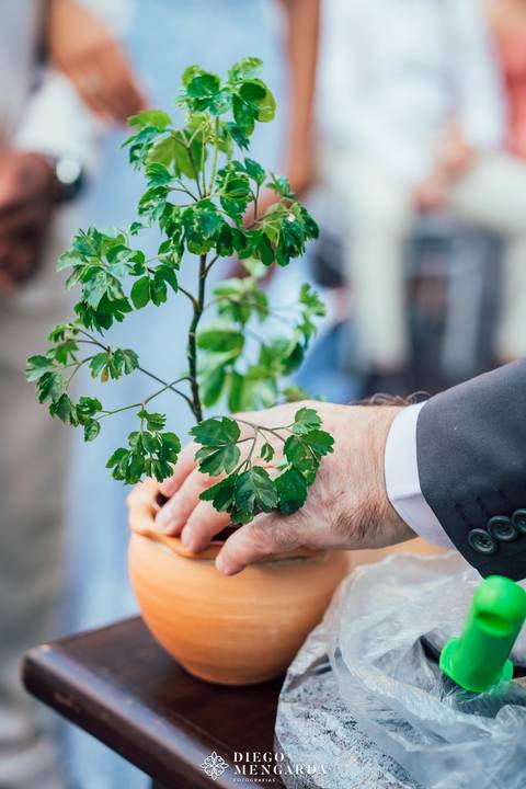 Fotógrafo de casamento em Timbó, Villa Gourmand timbo, casamento Villa Gourmand timbó, local casamento em Timbó, fotografo video casamento timbó, video casamento timbó, casamento ao ar livre Timbó, cerimonialista casamento timbó, decoração casamento timbó'