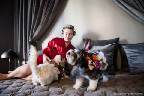 fotógrafo Florianópolis'