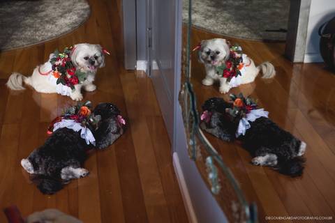 fotógrafo casamento Bombinhas'