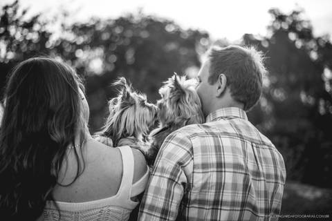 pré wedding, fotografo, fotografo casamento, fotografo casamento Timbó, fotografo casamento Blumenau, fotografo casamento Indaial, casamento, trashthedress, trashthedress timbó, fotografo trash the dress, morro azul, morro azul timbó'