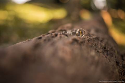 pré wedding, fotografo, fotografo casamento, fotografo casamento Timbó, fotografo casamento Blumenau, fotografo casamento Indaial, casamento, trashthedress, trashthedress timbó, fotografo trash the dress, morro azul, morro azul timbó'