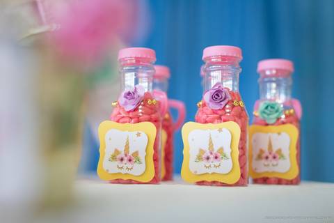 aniversario, decoração aniversario, fotografo Indaial, festa infantil, pepoleta, pepoleta timbó, pepoleta festas, unicórnio, criança, fotografo aniversário, fotografo timbó'