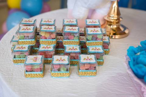 aniversario, decoração aniversario, fotografo Indaial, festa infantil, pepoleta, pepoleta timbó, pepoleta festas, unicórnio, criança, fotografo aniversário, fotografo timbó'