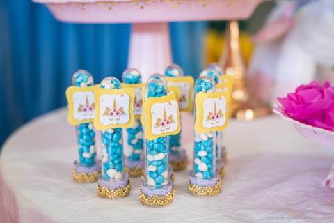 aniversario, decoração aniversario, fotografo Indaial, festa infantil, pepoleta, pepoleta timbó, pepoleta festas, unicórnio, criança, fotografo aniversário, fotografo timbó'