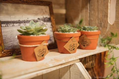 pré wedding, fotografo, fotografo casamento, fotografo casamento Timbó, fotografo casamento Blumenau, fotografo casamento Indaial, casamento, trashthedress, trashthedress timbó, fotografo trash the dress'