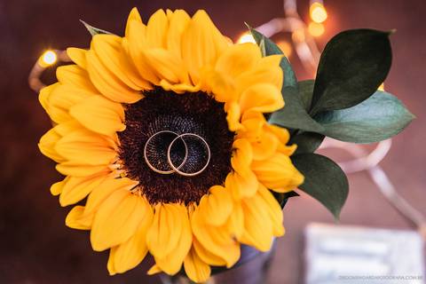 fotografo, fotografo casamento, fotografo casamento Timbó, fotografo casamento Blumenau, fotografo casamento Indaial, casamento, casamento mulheres, casamento homoafetivo, casamento mulheres em santa catarina, casamento, wedding, wedding girls'