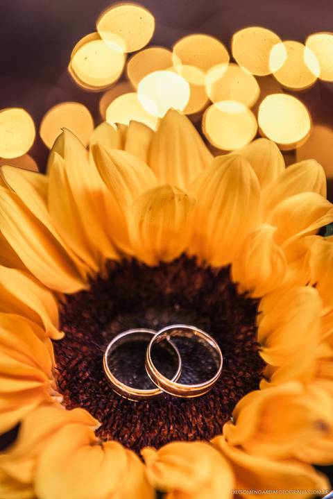 fotografo, fotografo casamento, fotografo casamento Timbó, fotografo casamento Blumenau, fotografo casamento Indaial, casamento, casamento mulheres, casamento homoafetivo, casamento mulheres em santa catarina, casamento, wedding, wedding girls'