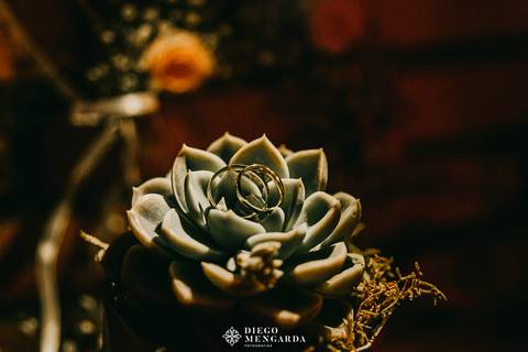 Fotógrafo de casamento em Timbó, Fotógrafo de casamento em Blumenau, Fotógrafo de casamento em Indaial, Fotógrafo de casamento em Rodeio, Fotógrafo de casamento em Itajaí, Fotógrafo de casamento em Bombinhas, local casamento Timbó, casamento Itajaí'