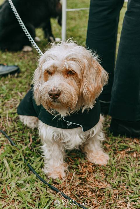 Fotógrafo de casamento em Timbó, Fotógrafo de casamento em Blumenau, Fotógrafo de casamento em Indaial, casamento casa da montanha, Fotógrafo de casamento em rio dos cedros, casamento montanha, local casamento Timbó'