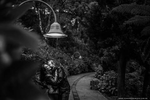 Casal, caminho, natureza, lago, negro, luz, romantico'