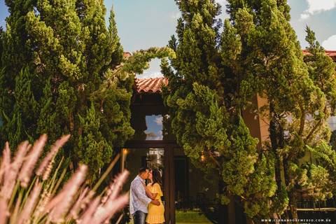 ensaio, fotografico, casal, natureza, pinheiros'