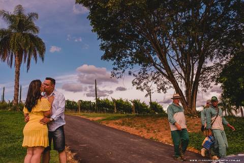 ensaio, beijo, casal, natureza, arvore, romantismo'