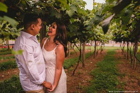 ensaio, divertido, casal, casamento, vestido branco, parreiras, uvas '