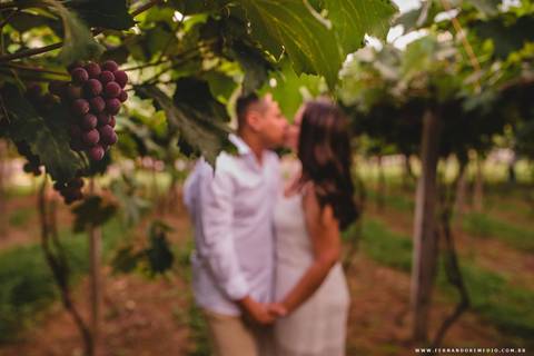 uvas, parreiras, casal, ensaio fotográfico '
