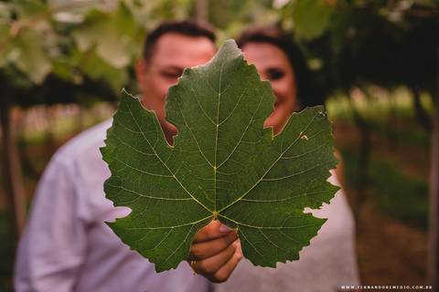 folha, ensaio, casal,'