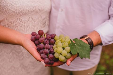 detalhes casal, mãos, uvas, vestido branco'