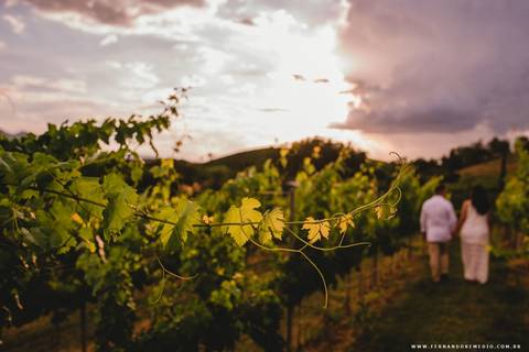 vinicula, casa geraldo, andradas '