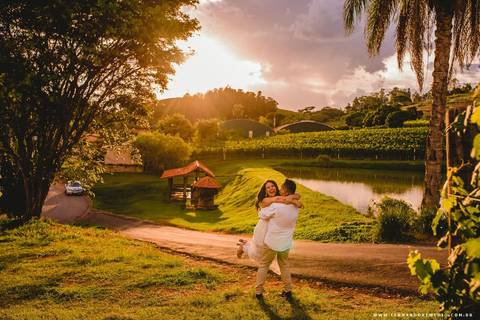 amor, divertido, diversão, rodando, natureza, por do sol'