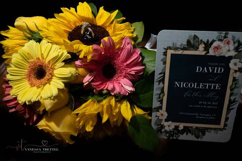 wedding photo
wedding wire
the knot
Sunflowers bouquet 
wedding backyard decorations
wedding golf club CT
wedding New Canaan CT
wedding in the Backyard
best wedding photographers in CT
wedding dresses
wedding venues in CT
Vanessa Trettel Photography'