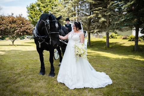 
carriage at the wedding
Best wedding photographer
wedding photo
wedding at La Bella Vista
wedding at the church
wedding Hartford CT
first look photo
best wedding photographers in CT
wedding dresses
wedding venues in CT
Vanessa Trettel Photography
'