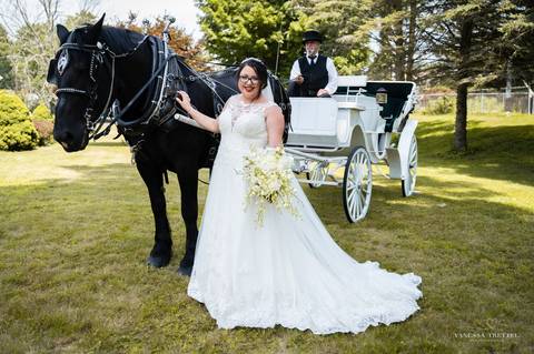 carriage at the wedding
Best wedding photographer
wedding photo
wedding at La Bella Vista
wedding at the church
wedding Hartford CT
first look photo
best wedding photographers in CT
wedding dresses
wedding venues in CT
Vanessa Trettel Photography
'