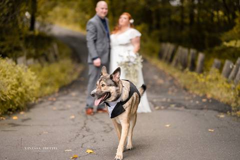 wedding photo
best wedding photographer
Backyard wedding
wedding New Canaan CT
first look photography
best wedding photographers in CT
wedding dresses
wedding venues in CT
Vanessa Trettel Photography
plus size wedding couple'