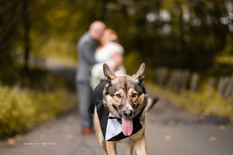wedding photo
best wedding photographer
Backyard wedding
wedding New Canaan CT
first look photography
best wedding photographers in CT
wedding dresses
wedding venues in CT
Vanessa Trettel Photography
plus size wedding couple
wedding photo with dog'