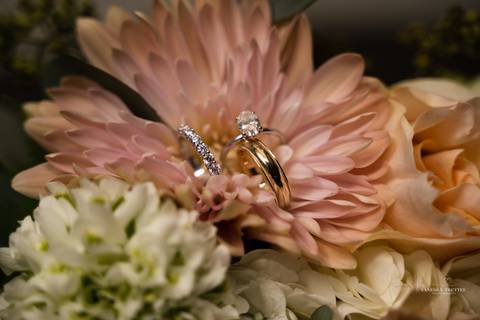 Wedding in CT, Heavitree Bed and Breakfast, Caroline and Matthew, wedding photographer, rainy day, First Look, indoor ceremony, love and happiness, emotional moments, wedding photos. 
Vanessa Trettel Photography'