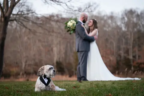 Wedding photo at The Hounds, Stonington CT, groom and bride picture and her dog standing at the back of the wedding dress, the photographer was by Vanessa Trettel.
Professional wedding photographer
CT wedding Venue
engagement photographer'