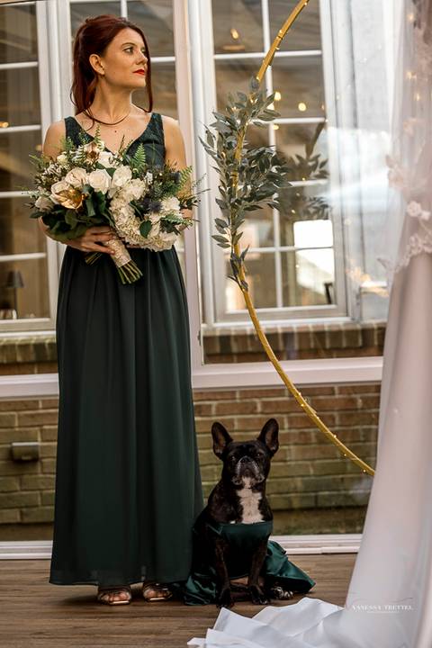 Best Wedding photographer CT
Avon Old Farms Hotel
Avon CT wedding
Bridal party photography
Green bridesmaid dresses
Bridesmaids pictures
Groom photos
Dog at wedding
Wedding photos ideas
Vanessa Trettel Photography'