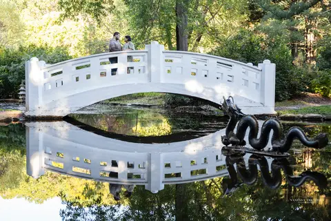 Wedding photographer CT, engagement session Wickham Park, Manchester CT, autumn engagement photos, outdoor engagement photography, dog-friendly engagement session, romantic engagement shoot, candid engagement photography, Vanessa Trettel photography'