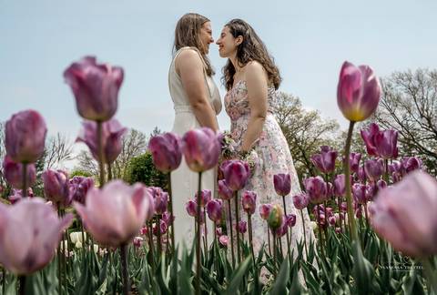 Against a backdrop of blossoming tulips, Katie & Michaela's wedding celebration exudes simplicity and love, as family gathers for a cherished al fresco meal in the spring sun.
Gay Wedding
Lesbian wedding pictures
gay wedding photographer
Vanessa Trettel'