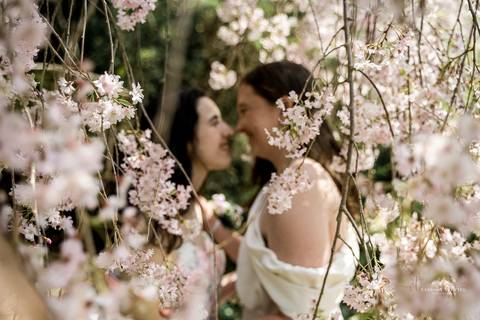 In the midst of Elizabeth Park's floral splendor, Katie & Michaela's wedding exudes warmth and intimacy, with every smile and touch immortalized in timeless photographs.
Gay Wedding
Lesbian wedding pictures
gay wedding photographer
Vanessa Trettel Photo'